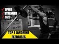 Top 7 Landmine Exercises That Will Get You Strong & Powerful | Chandler Marchman