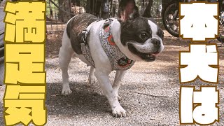 代々木公園のドッグランへ行った結果