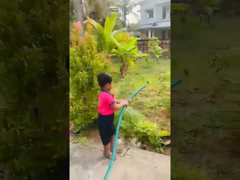 mY world🌍 #shorts #short #viral #video #latest #kids #nature #natural #plants #garden #naturelovers