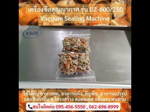 เครื่องซีลสุญญากาศ 2 หลุมแบบหลุมตื้น รุ่น DZ-600/2SC