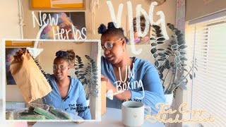 The oldest witch shop in Dallas herb haul + Unboxing | Herb lovers