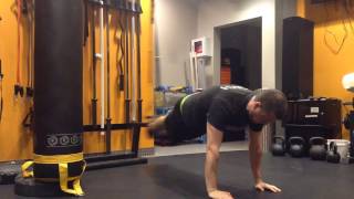 TRX Lizard Tail