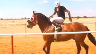 Carreras de Caballos en el Molino Zacatecas