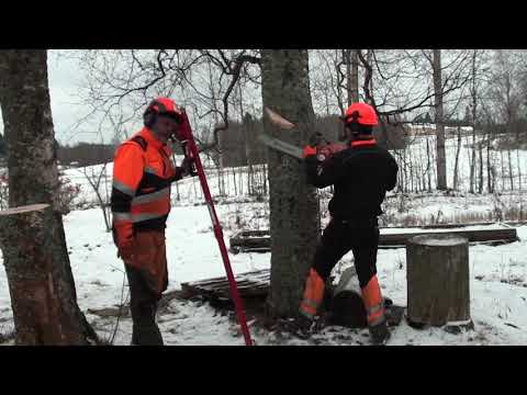 Puuta tuulessa turvalleen -selostaja selostaa!