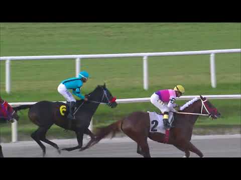 221217 c07 JOAN BAEZ (BRZ)