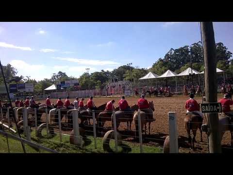 20º Rodeio internacional do conesul
