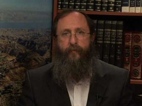 Weekly Torah Portion: Vayigash