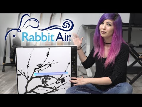 download lagu mp3 mp4 Rabbit Air Minusa2 Air Purifier, download lagu Rabbit Air Minusa2 Air Purifier gratis, unduh video klip Rabbit Air Minusa2 Air Purifier