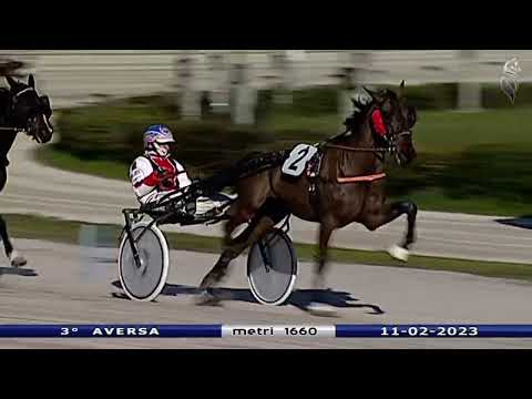 Aversa trotto 11 Febbraio 2023 - 3° Corsa