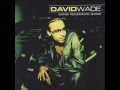 DAVID WADE Sunshine 2004