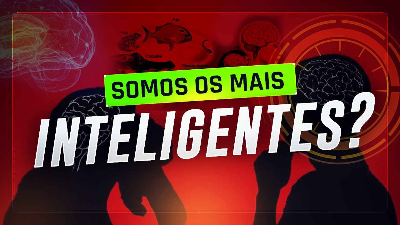 O HOMEM É O ANIMAL MAIS INTELIGENTE QUE EXISTE?