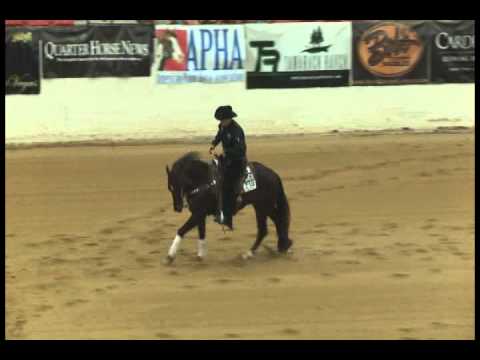 Jacs Electric Velvet 2014 HRRC Derby