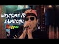 Damian Marley Welcome To Jamrock Tropavibes Reggae Live Cover