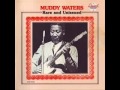 Muddy Waters,Lonesome Day - Albe Juke Muddy Waters,Lonesome Day