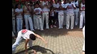 Capoera Mega Academia Limeira SP Brasil Muito Bom