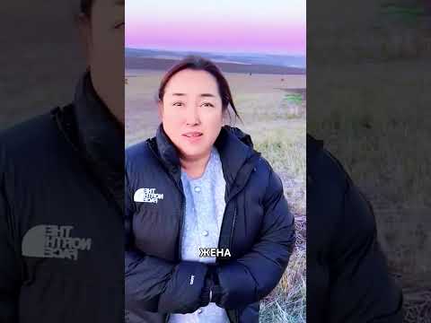 Лис впервые встретил жену своего друга — его реакция удивила всех! 🦊❤️