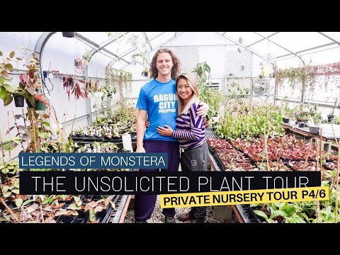Too Many Hoyas! Unsolicited Plant Tour Part 4/6 | Houseplant Nursery | Rare Monstera Philodendron