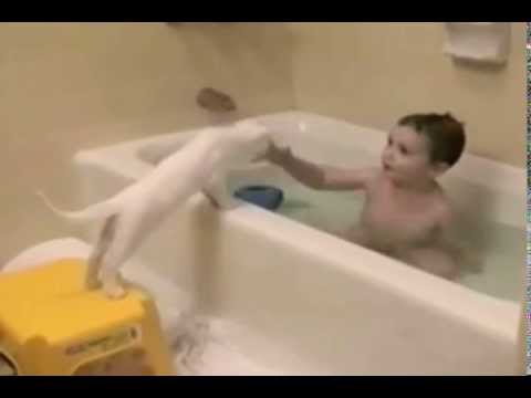 cat in bath