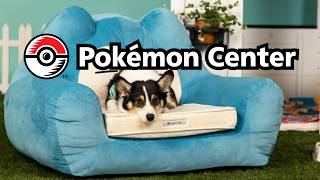 DE: Pokémon Center Webseite offiziell eröffnet & Haustierzubehör-Linie! (News-Spezial 424)