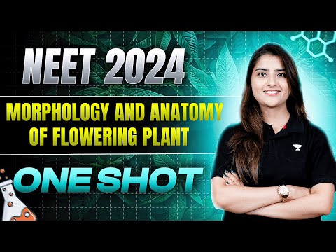 Morphology and Anatomy of Flowering Plants | One Shot | NEET 2024 | Seep Pahuja