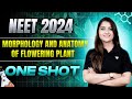Morphology And Anatomy Of Flowering Plants One Shot NEET 2024 Seep Pahuja