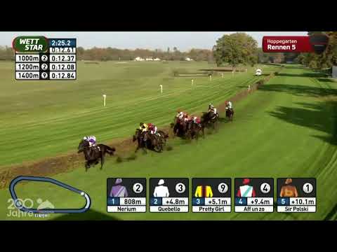 Silbernes Pferd - Gruppe 3