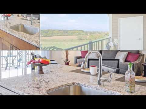 Palmer View | For Rent