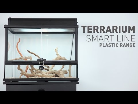 Watch Video on YouTube