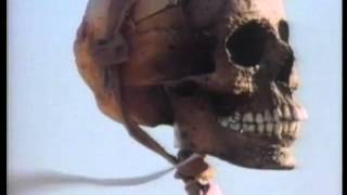 Plughead Rewired: Circuitry Man II (1994) Video