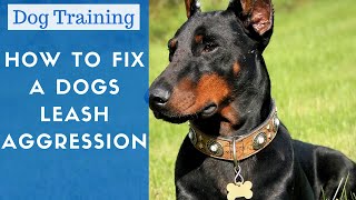 Dog Training - How To Cure Leash Aggression In Dogs And Make Dogs Less Aggressive