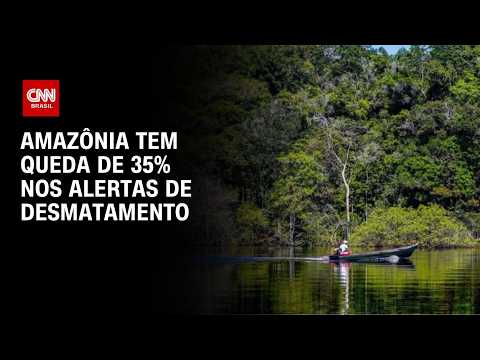 Amazônia tem menor nível de desmatamento no 1º semestre em dez anos, diz Inpe | HORA H