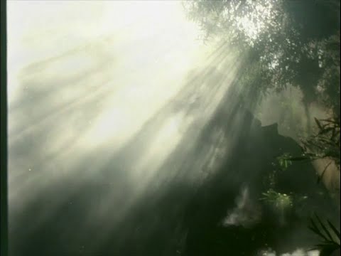 THE TERRITORY de Raul Ruiz (1981) – trailer