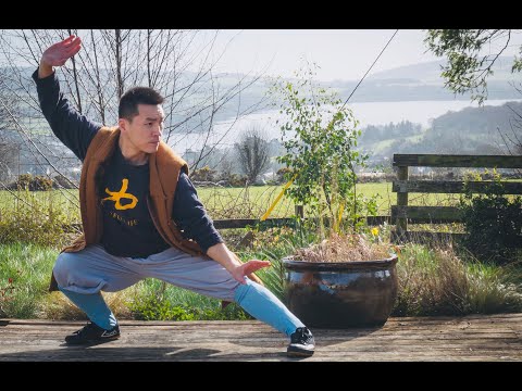 20 Minutes - Shaolin Qi Gong & Kung Fu to Boost Your Immune System 🌿💥