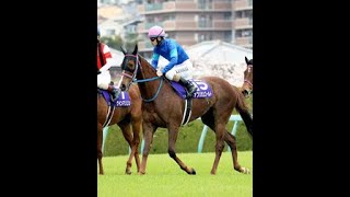 【注目馬動向】大阪杯組のアフリカンゴールド、キングオブコージは宝塚記念へ|Top News
