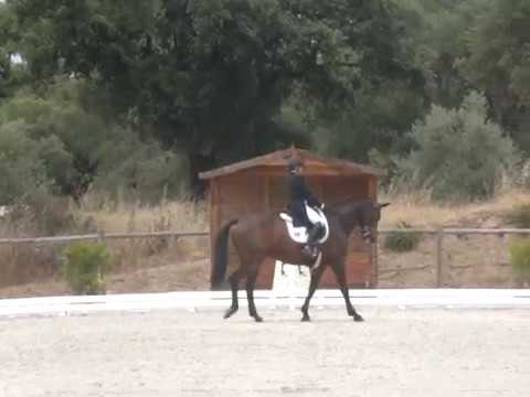 Carminho Marcelino e Tim - CDI** Abrantes