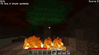 🥳 Wow! Test Fire in Minecraft indef?!