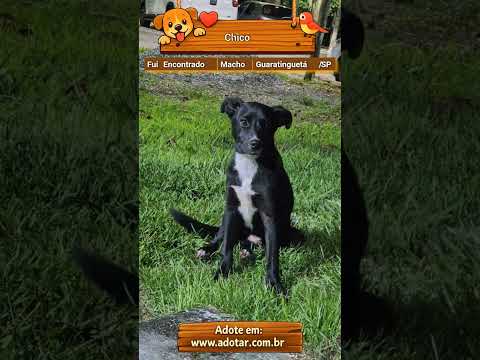 Vídeo de Chico
