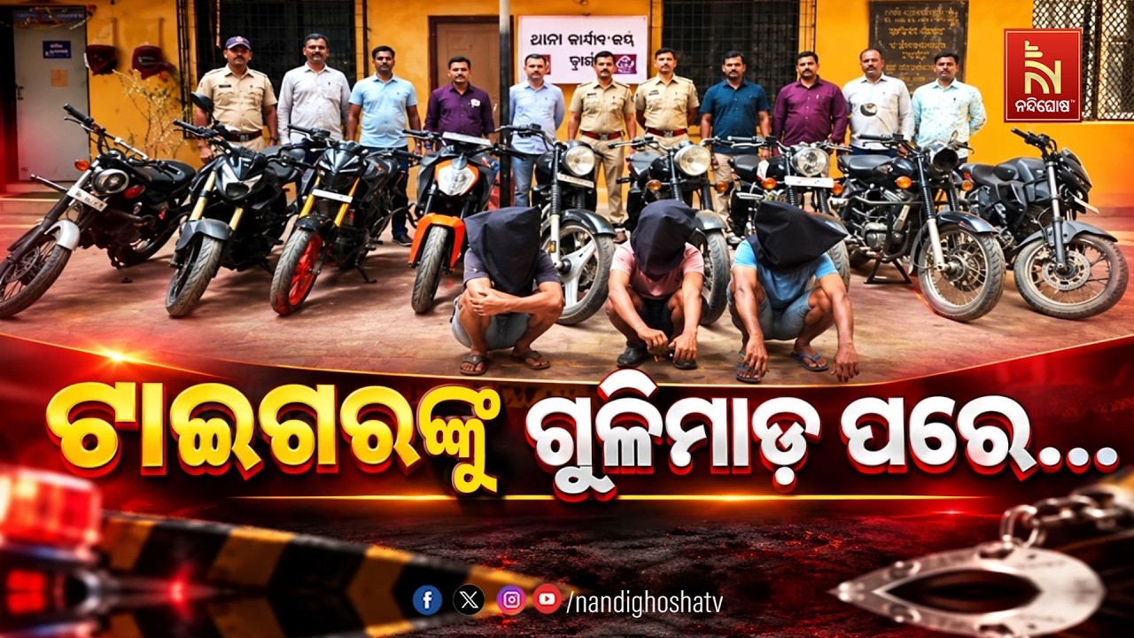 🔴 Live | ଟାଇଗରଙ୍କୁ ଗୁଳିମାଡ଼ ପରେ... | NandighoshaTV