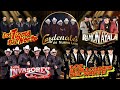 Top Corridos 2023 Best Mexican Music Mix Tigres Del Norte Rieleros Del Norte