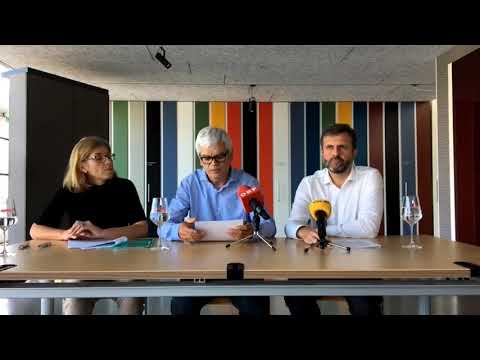 Zech Insolvenzen: Das sind die Gründe