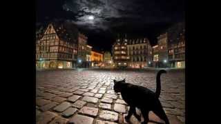 Melendi - Gatos celestes