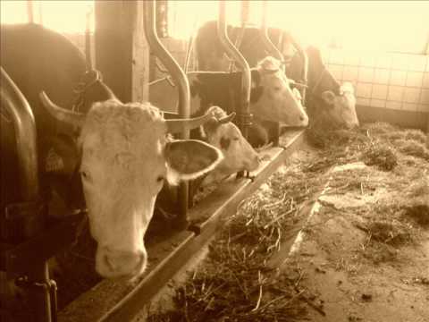 Weeh78 & Teecain - Old men with nu bars pt. 1