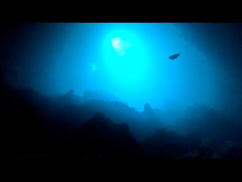 Scuba Diving @ Devil's Den (2022-1119)