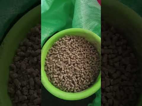Pig starter pellet feed, packaging type: hdpe bag, packaging...