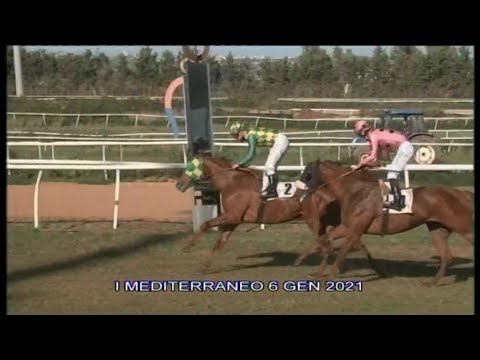 Galoppo Corse del 6 Gennaio 2021