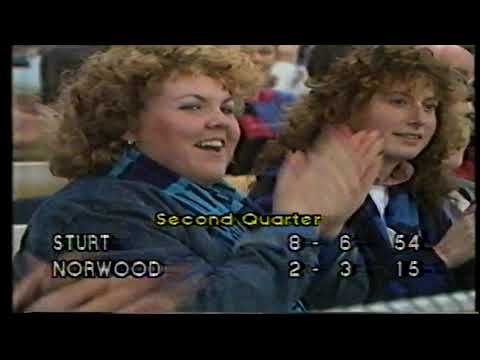 1985 Round 19 Norwood 21.12 138 d Sturt 12.15 87 (includes Wilmott's 100th goal)