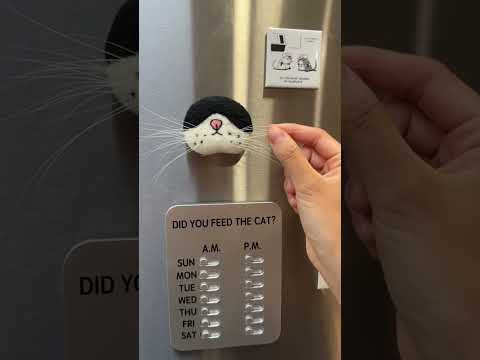 Pepper's whisker collection #cat #whiskers