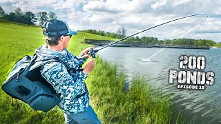 Fishing A LOADED Pond For Spring Bass! (200 Ponds Ep. 19)