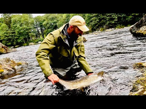 Salmon fly fishing | supper fight | Kungsådran | Sweden | Älvkarleby 2025