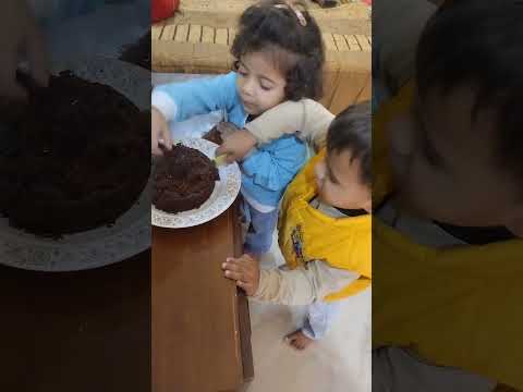 #hashim ko cake bhi ni katny ata